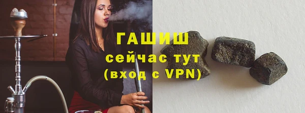 индика Богородицк