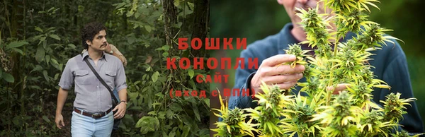 метамфетамин Белокуриха